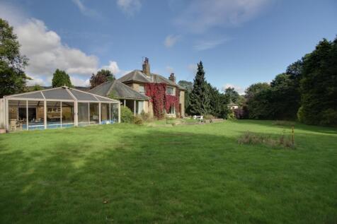 Garden Rear