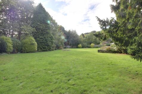 Rear Garden (2)
