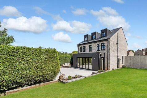 View From The Garden 