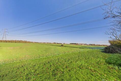 Field Views- Mark Stephens EweMove Newmarket and S