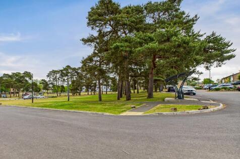 View From Front of House