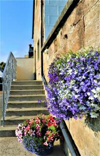 Steps to guest suite