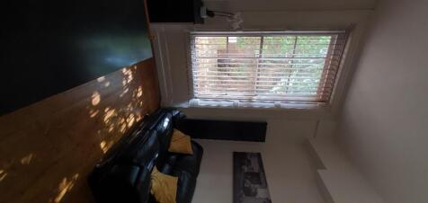 Tall windows with beautiful light in lounge/kitche