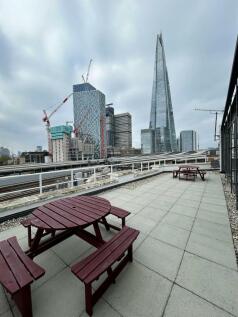 4th floor terrace.jpg