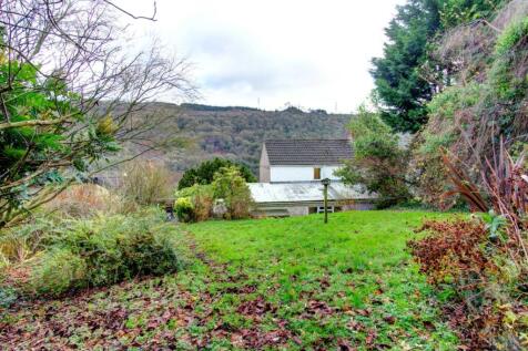 Rear Garden.