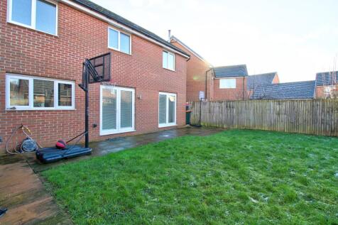 IMG_8946_7_8_Realistic