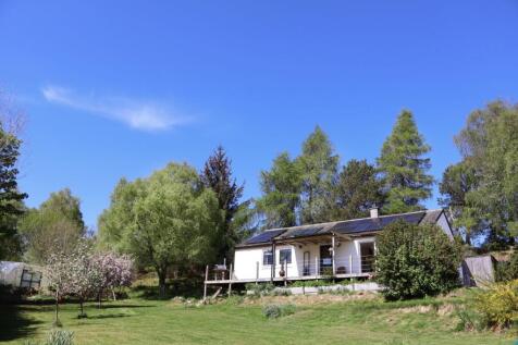 The Property