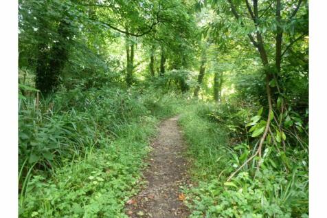 Property Image 51