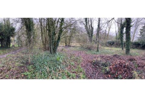 Woodland