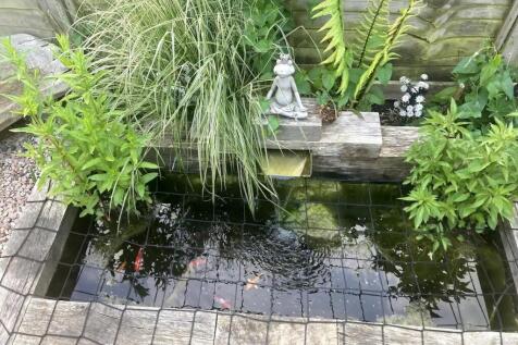 E4539154-c944-4852-82ac-2475fabc5fd2 copy