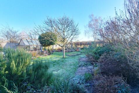 Rear garden 2