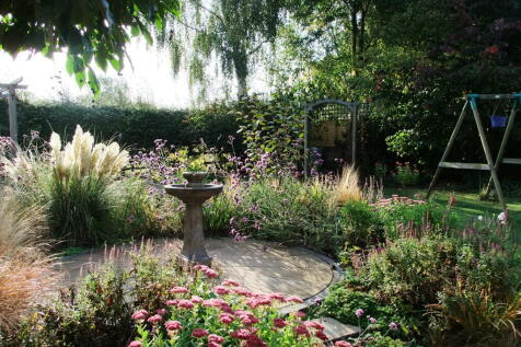 Back garden 1.JPG