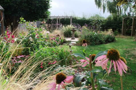 Back garden 2.JPG