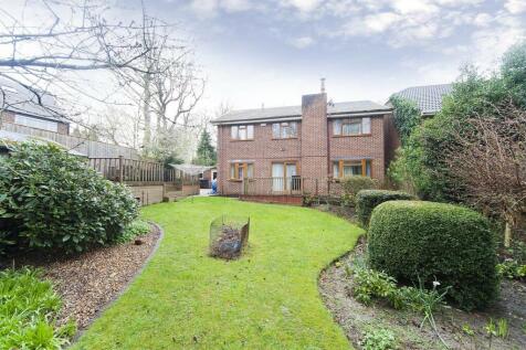 Property Image 25