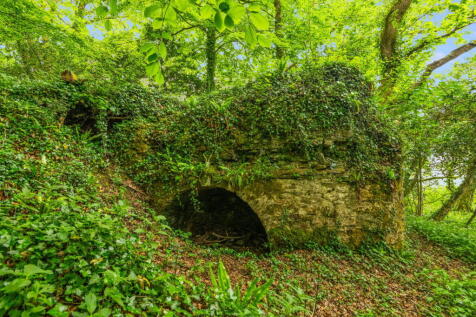 Property Image 44