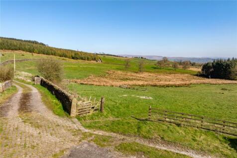 Site
