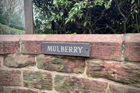 Mulberry