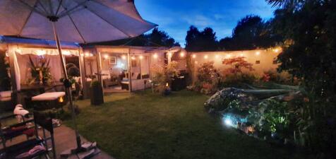 Night Garden.JPG
