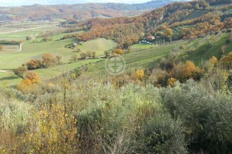 Panorama e Particolari