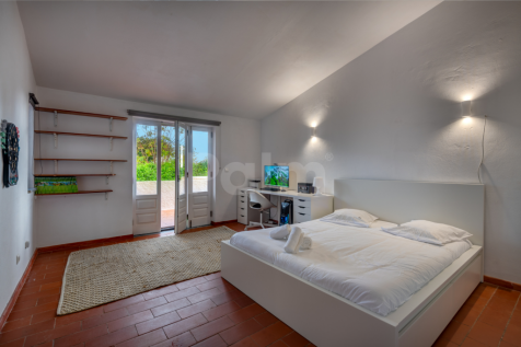 Property Image 39