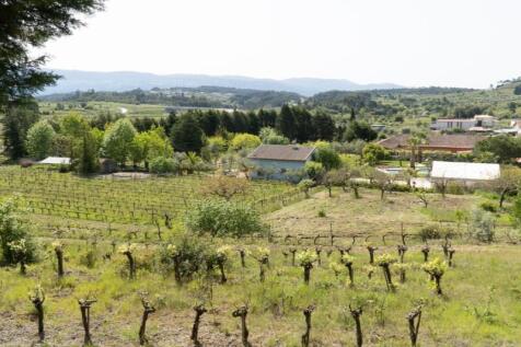 Property Image 63