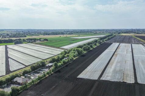 Drone View