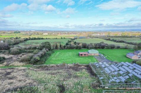 Drone View