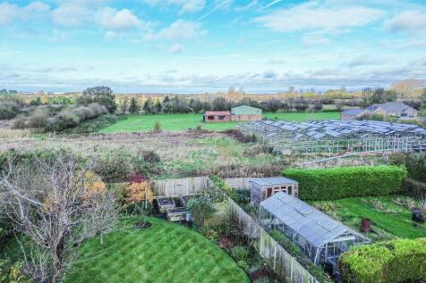 Drone View