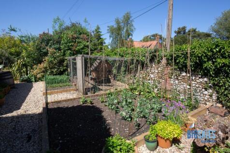 Summer Garden