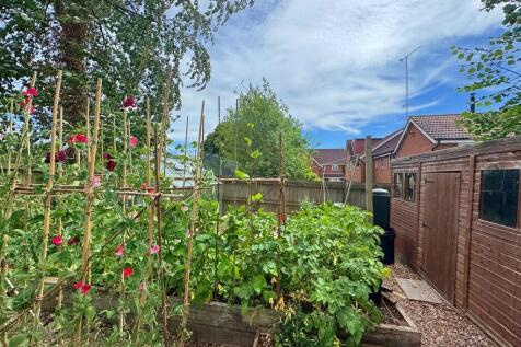 Raised Beds and S...