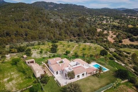 Overhead view of pro