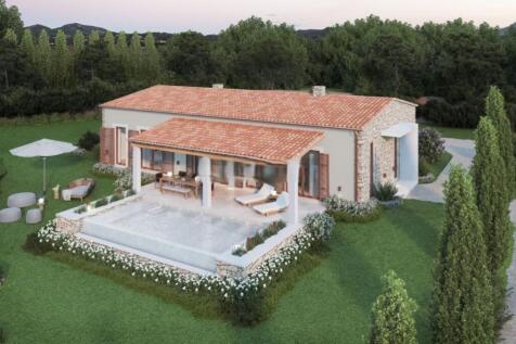 WhatsApp Image 2024-