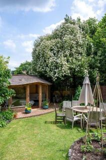 Rob&#39;s sunny garden shot 2.jpeg