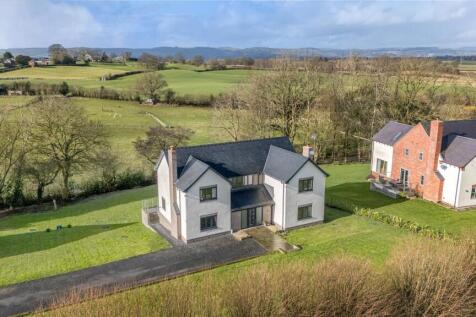 67bc3d250419f-1250569 (2).jpg