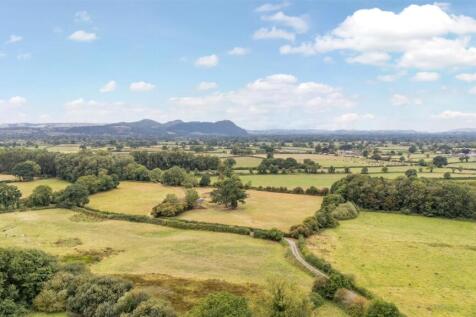 -68a834d17e040-1341093 (11).jpg