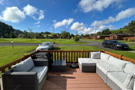 Views of the Park.jpg