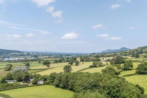 Elevated land view.jpg