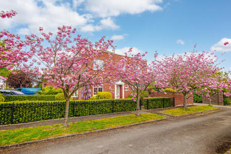 Property Image 34