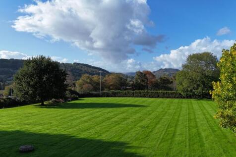 Grounds