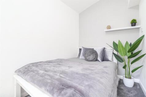 David Road 2023-9.jpg