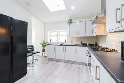 David Road 2023-50.jpg