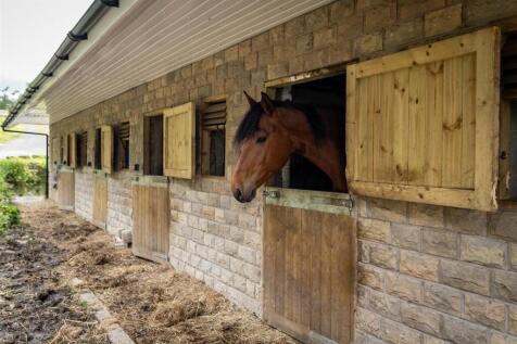 Stables