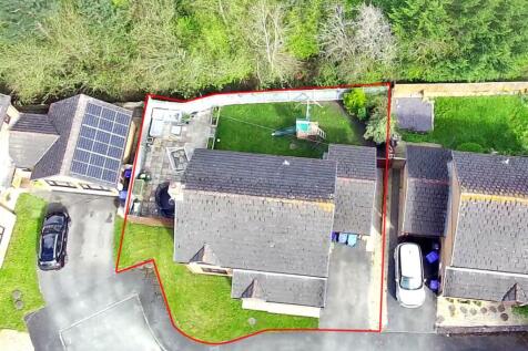 Bird&#39;s Eye View.jpg
