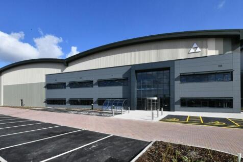 DSC_9051 cropped.jpg