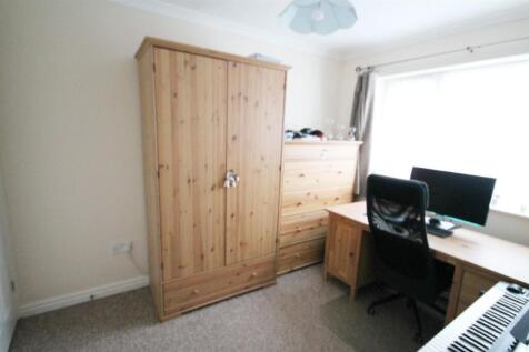 Study Natural Light.jpg