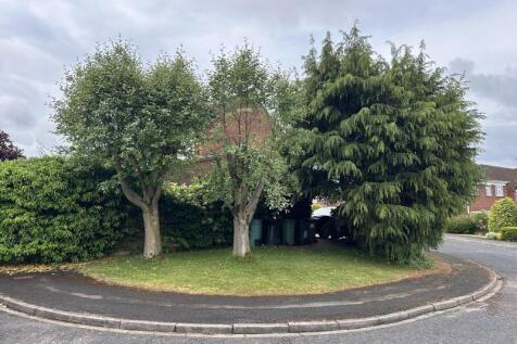 Further Garden to Side