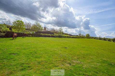 Field on back of ...