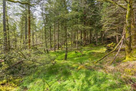 Woodland