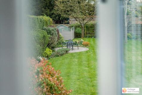 View From Badroom