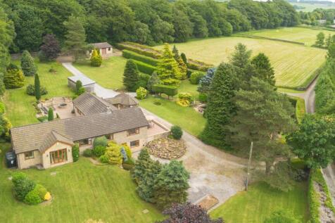 Netherfield- Drone-103.jpg